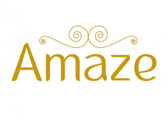 לוגו עסק Amaze בגדים מיוחדים